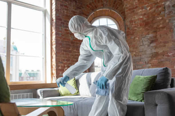 Mold Odor Removal Services in Hoquiam, WA