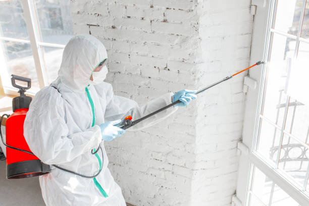 Best Emergency Mold Remediation  in Hoquiam, WA