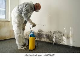 Best Mold Odor Removal Services  in Hoquiam, WA